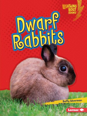 cover image of Dwarf Rabbits